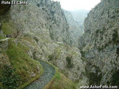 picos europa,ruta cares,picos europa,cabrales,apartamentos,turismo rural,casas aldea,rurales,alojamientos,alojamiento,hotel,hoteles, aventura turismo activo,vacaciones,viajes viajar TURISMO ACTIVO PICOS DE EUROPA