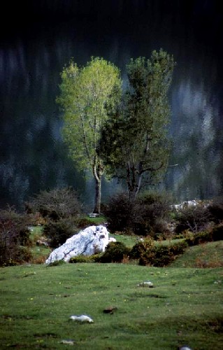 picos de europa, cortesia de J.Picallo, mas fotos en www.picoseuropa.net