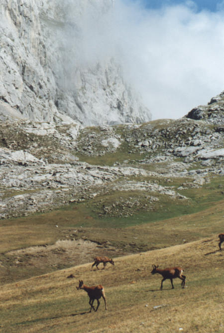 picos de europa, cortesia de J.Picallo, mas fotos en www.picoseuropa.net