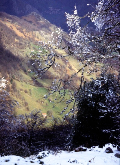 picos de europa, cortesia de J.Picallo, mas fotos en www.picoseuropa.net