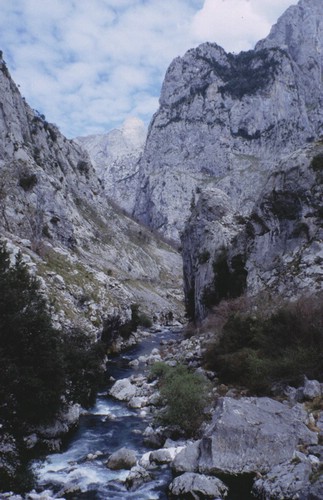 picos de europa, cortesia de J.Picallo, mas fotos en www.picoseuropa.net