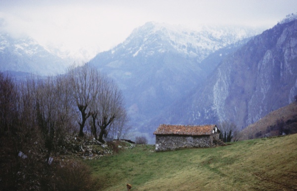 picos de europa, cortesia de J.Picallo, mas fotos en www.picoseuropa.net
