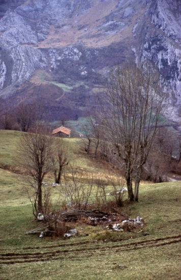 picos de europa, cortesia de J.Picallo, mas fotos en www.picoseuropa.net