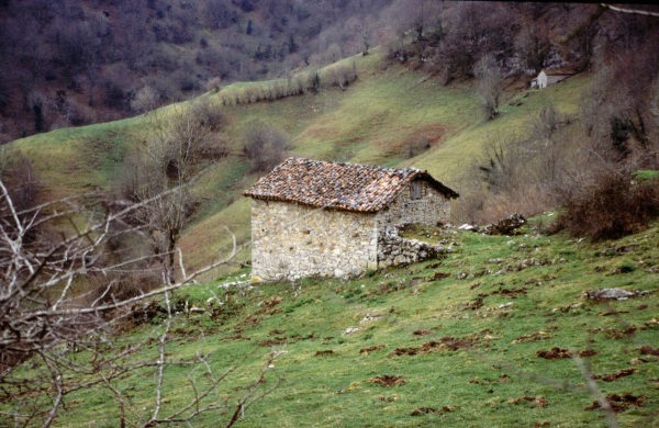 picos de europa, cortesia de J.Picallo, mas fotos en www.picoseuropa.net