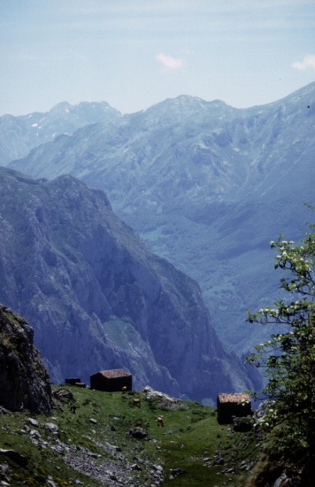 picos de europa, cortesia de J.Picallo, mas fotos en www.picoseuropa.net