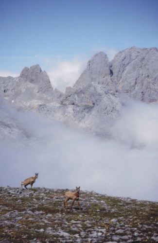 picos de europa, cortesia de J.Picallo, mas fotos en www.picoseuropa.net