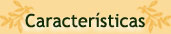 Caracter�sticas