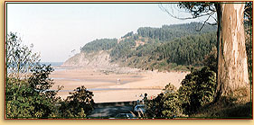 Beach of la Griega