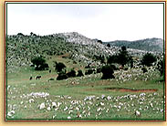 Sierra del Sueve